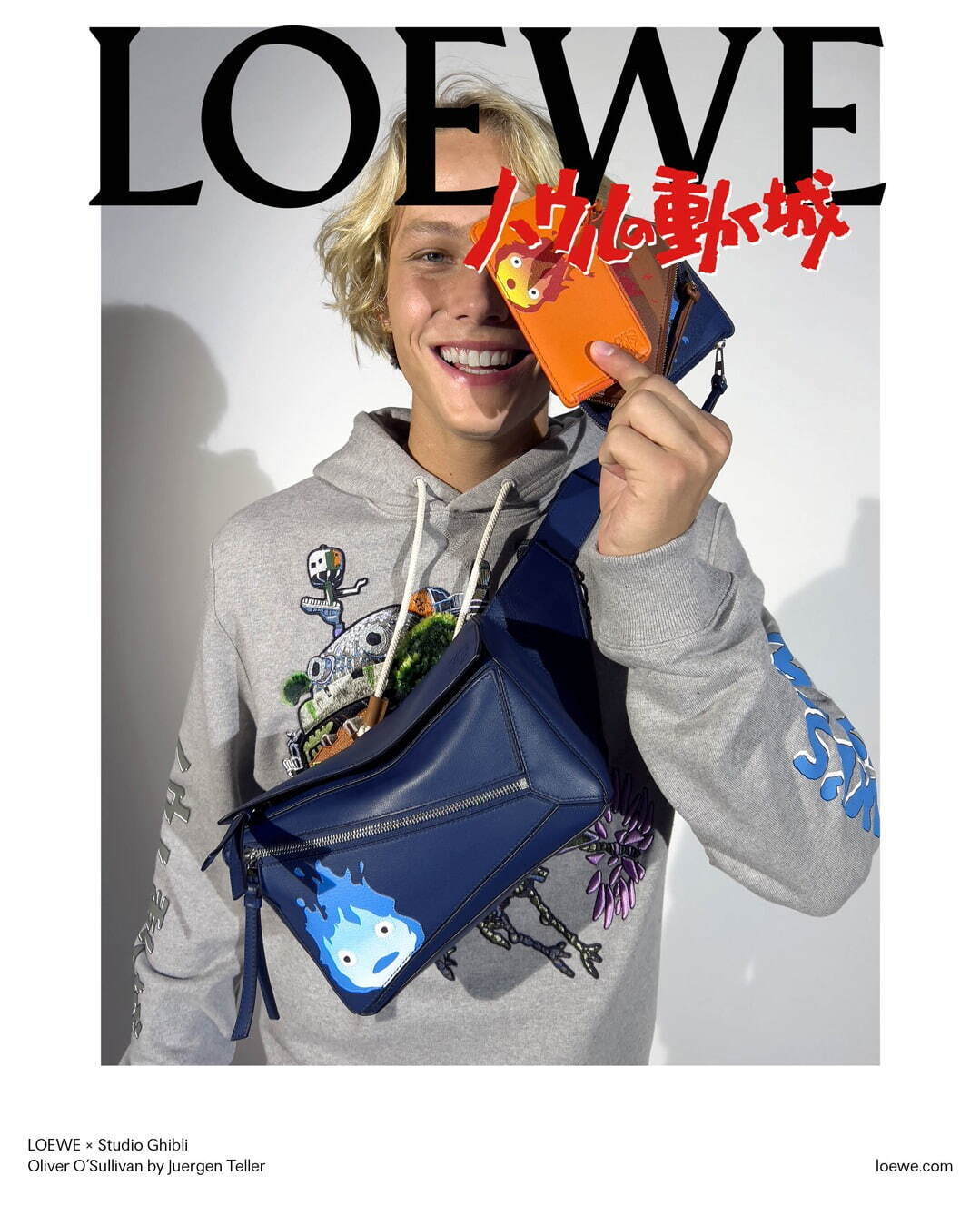 ロエベ(LOEWE) ハウルの動く城 パズル｜写真192