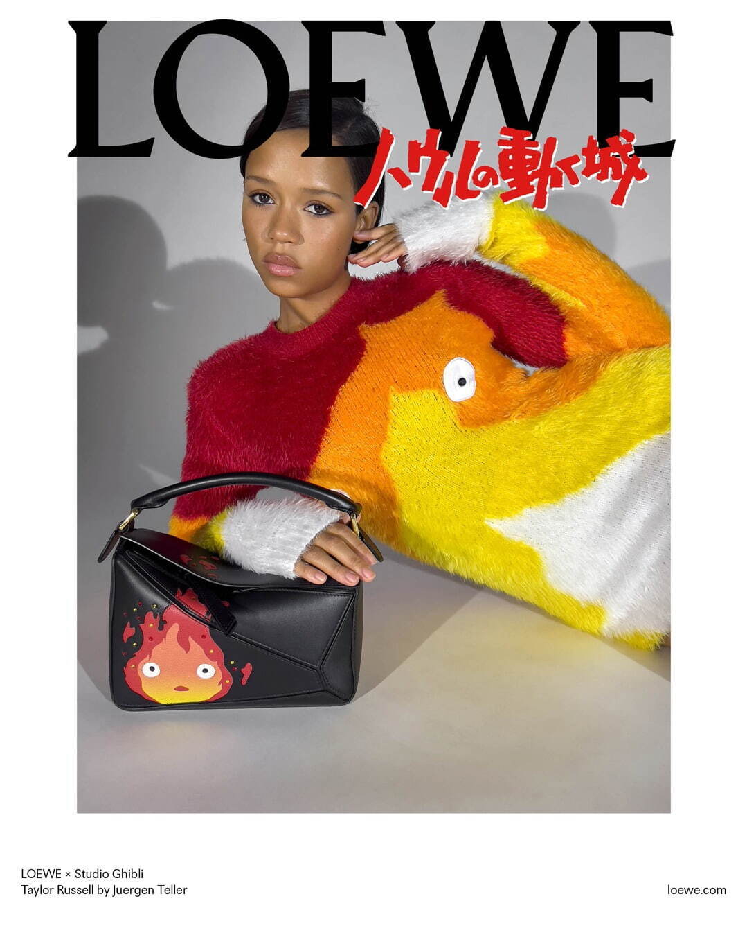 ロエベ(LOEWE) ハウルの動く城 パズル｜写真178