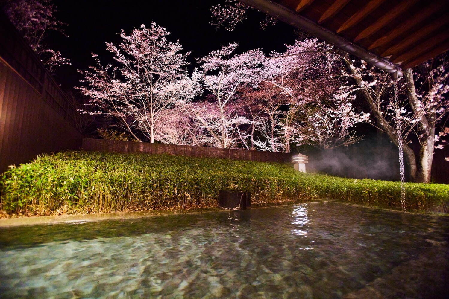 星野リゾートの温泉旅館「界 鬼怒川」満開の夜桜と会席料理をテラスで、“桜餅×海老”煮物椀や桜スイーツ｜写真4