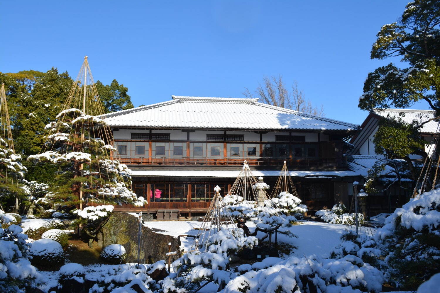 滋賀県の名勝庭園4選、抹茶を味わえる玄宮楽々園＆四季折々の景色を楽しむ旧竹林院庭園など｜写真7