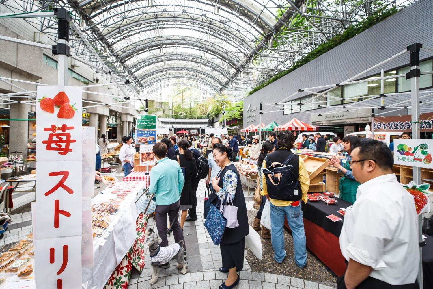 六本木 アークヒルズ「ヒルズマルシェ」で春のいちご祭り、様々なスイーツや食品が集結｜写真12