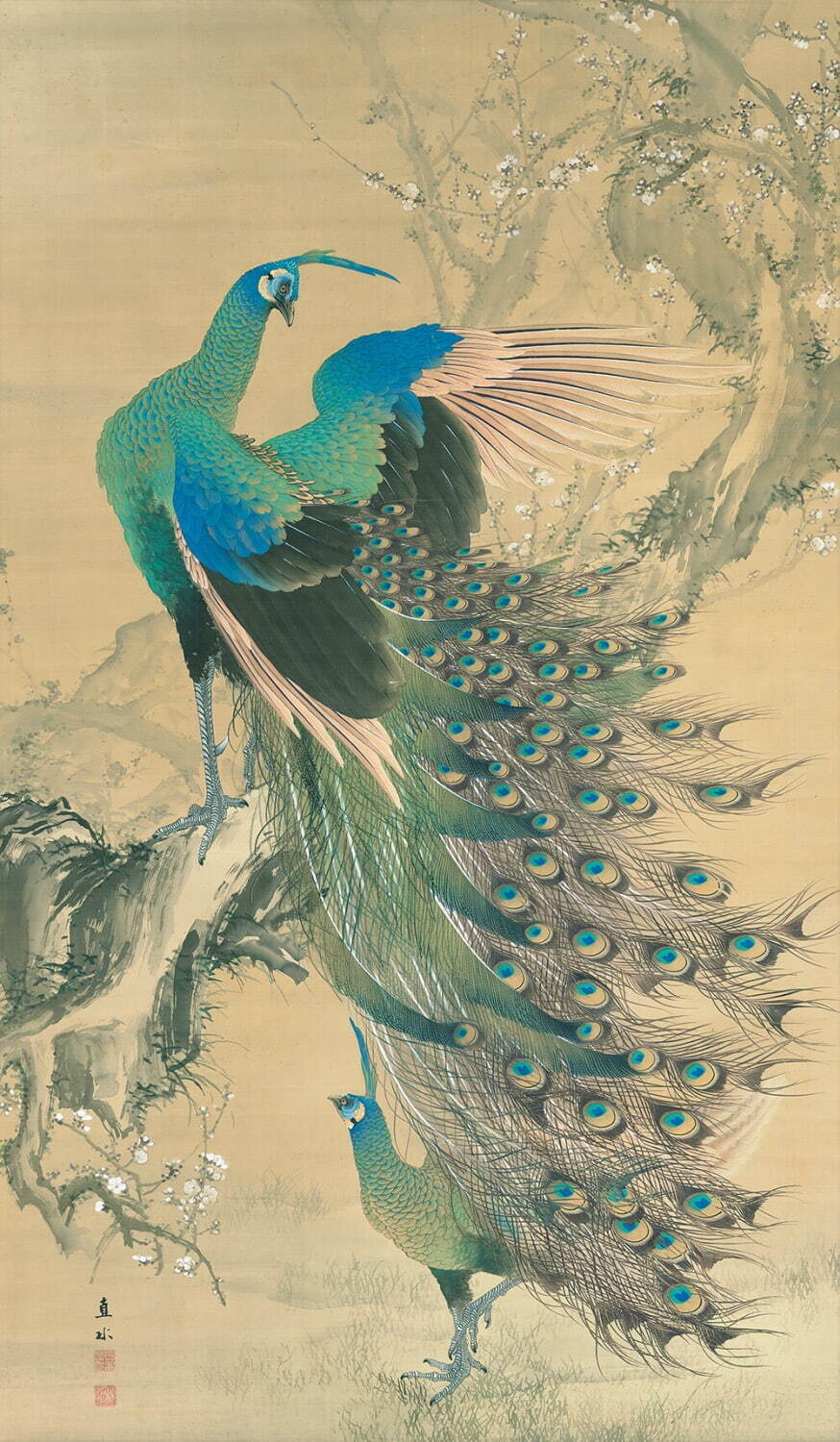 平井直水 《梅花孔雀図》 1904年 大阪中之島美術館蔵