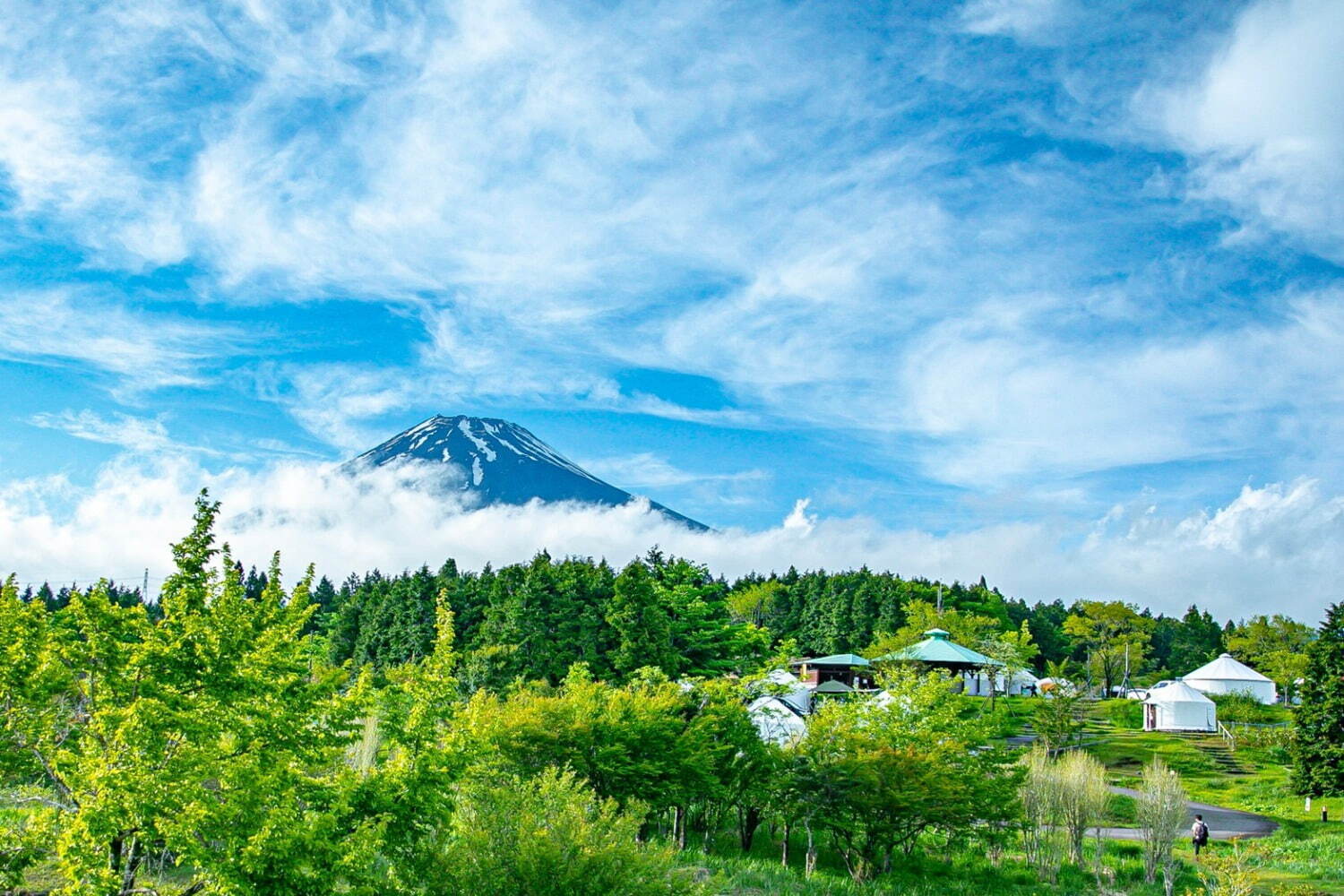 フジ アンド サン'23 富士山こどもの国｜写真10