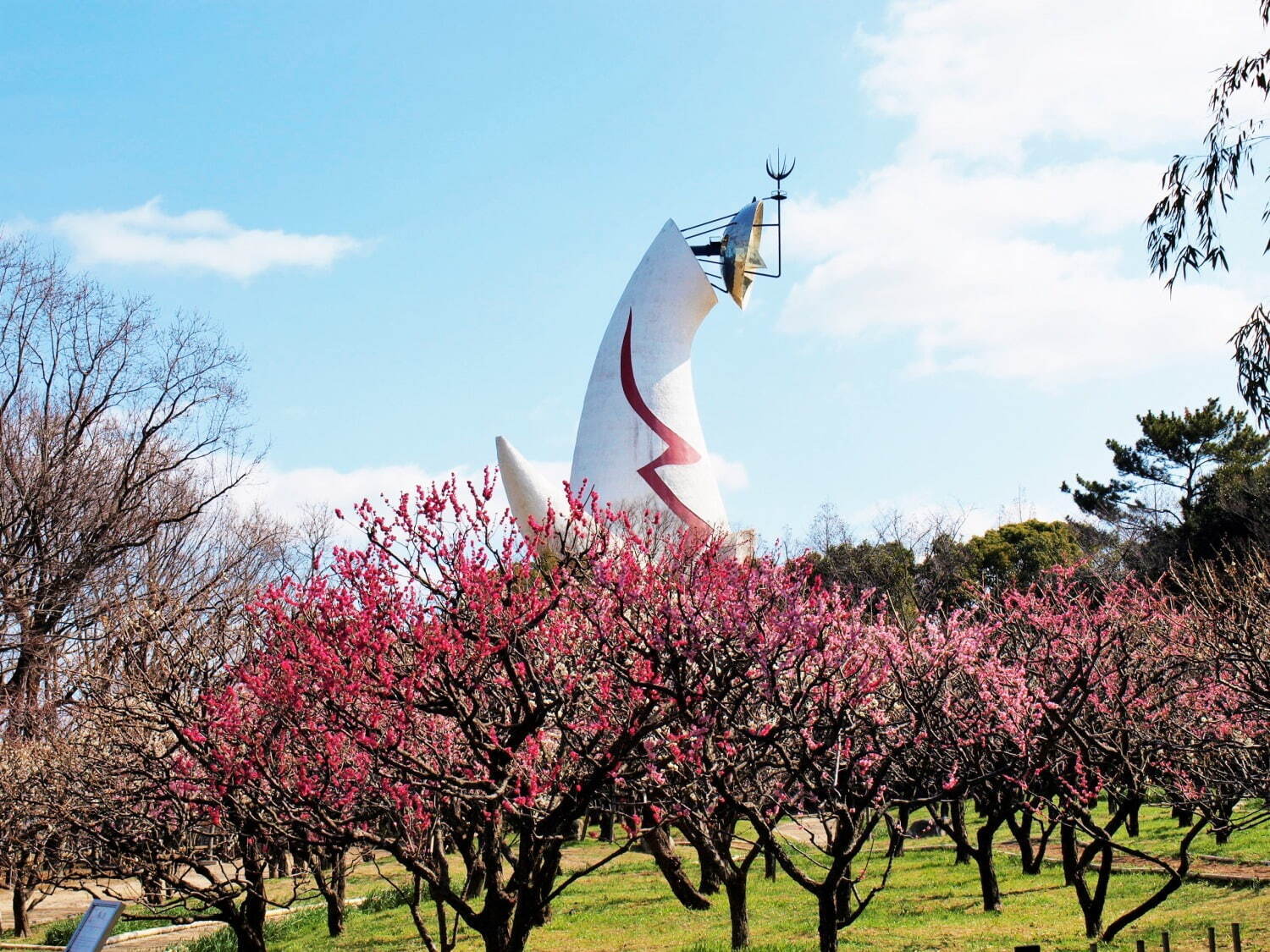 大阪「万博記念公園 梅まつり」約680本の梅が咲くイベント、チョーヤ