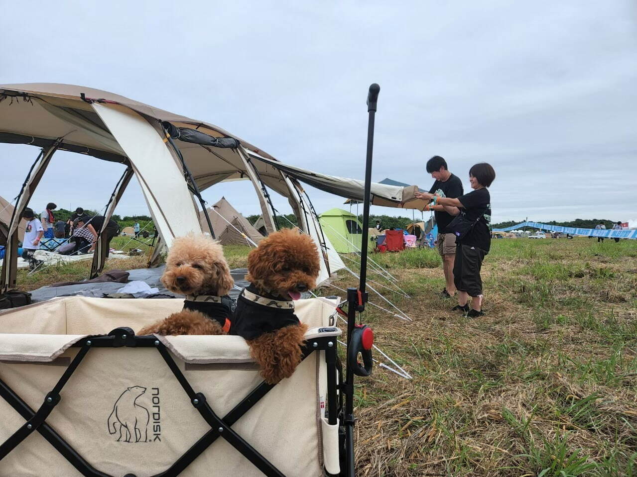 野外音楽フェス「トーキョー・アイランド 2023」“東京湾に浮かぶ島”海の森公園で6月に｜写真13