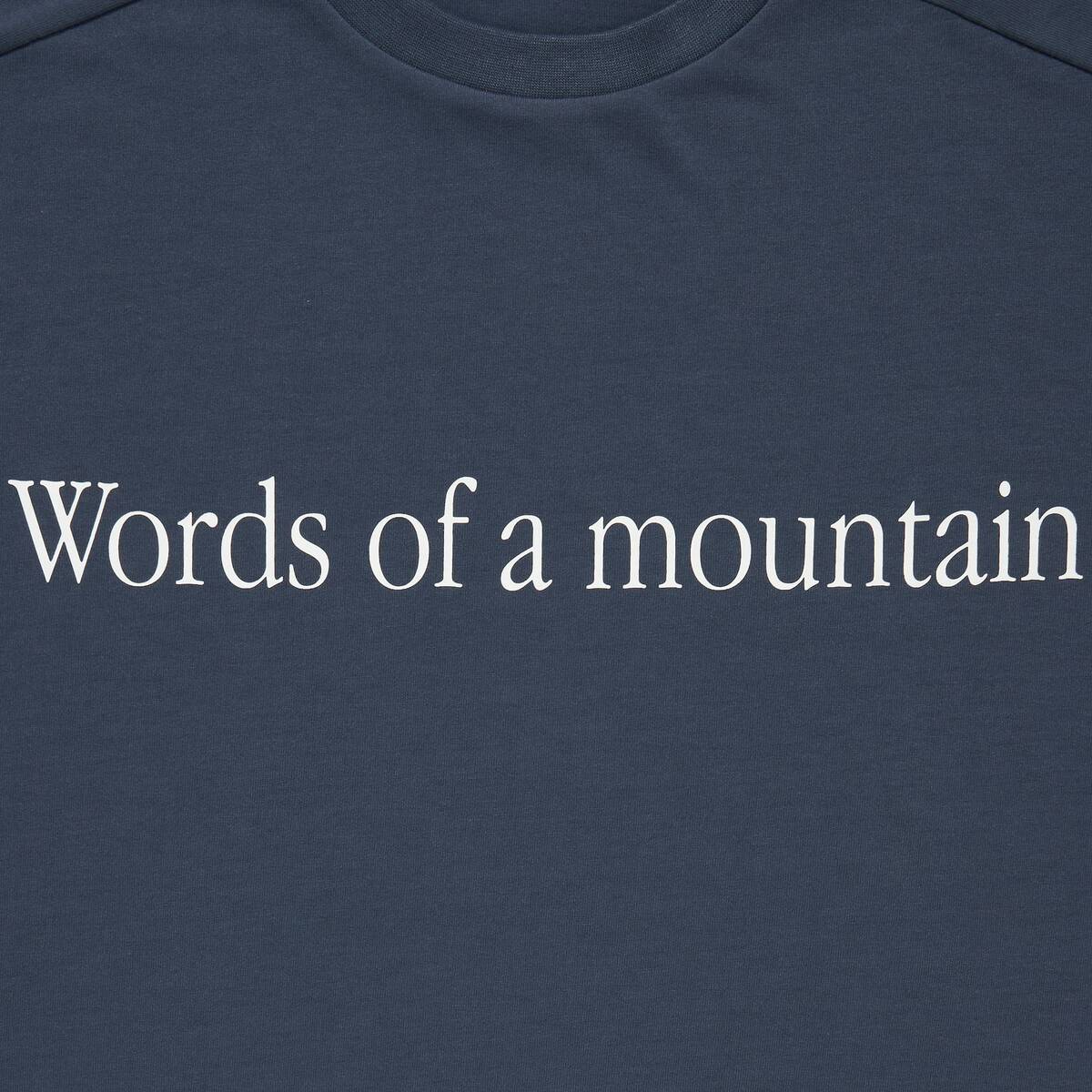 CITY COUNTRY CITY x Marmot MMWCCC everywhere T-shirt words of mountain -blue - 画像2枚目