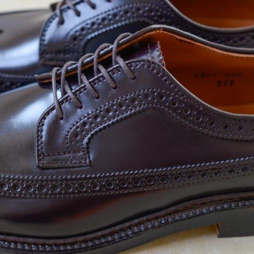 LONG WING TIP BLUCHER OX - Cordovan【Alden】 - 画像3枚目